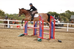 SBM_024805