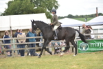SBM_15942