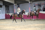 SBM_02866