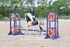 BPP_7648