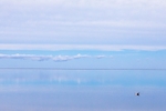 Peaceful Reflections