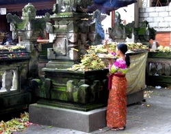 Bali portfolio