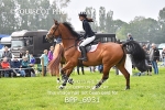BPP_6931