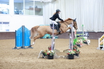 SBM_003559
