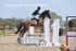 BPP_3694