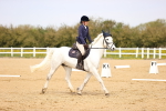 SBM_007484