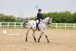 SBM_005883