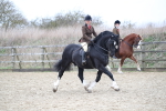 SBM_006305