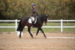 SBM_000443