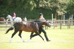 SBM_09079