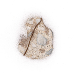 Winter Stone--Long Point Beach