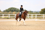 SBM_008745
