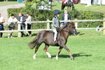 SBM_50414