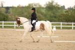 SBM_006531