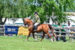 SBM_17454