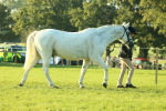 SBM_57291