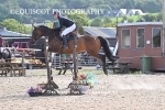 BPP_1329