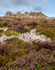 Devil's Chair 1