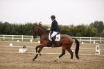 SBM_006684