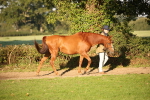 SBM_57533