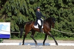 178-RIDIRE_DORCHA-Lucy_Stimson-WEDTrotUp+DR portfolio