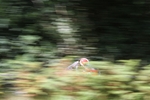 FOM_0648