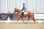 SBM_000955