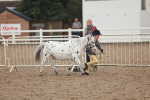 SBM_08433