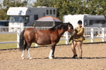 SBM_14094