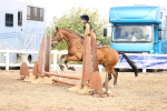 SBM_02869