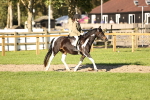 SBM_29418