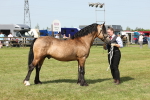 SBM_02307