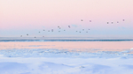 -16C  Port Dover Dawn