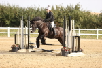 SBM_001134