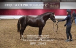 BPP_2943
