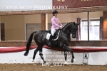 BPP_9337