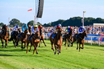 240726-Race 4-Rajaking-5331
