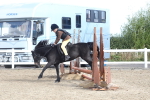 SBM_12137