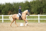 SBM_018504
