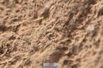 231015A-152424-08950