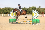 SBM_001668
