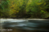 River North Esk at Grannochy, Autumn Colour 14