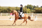 SBM_016913