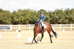 SBM_009493