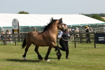 SBM_02280