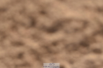 231015A-151132-08891