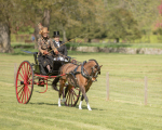 Attelage -791