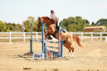 SBM_002986
