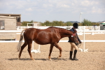 SBM_03803