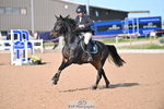 Cls 31 Blue Chip Grade B & C Champ Quali portfolio